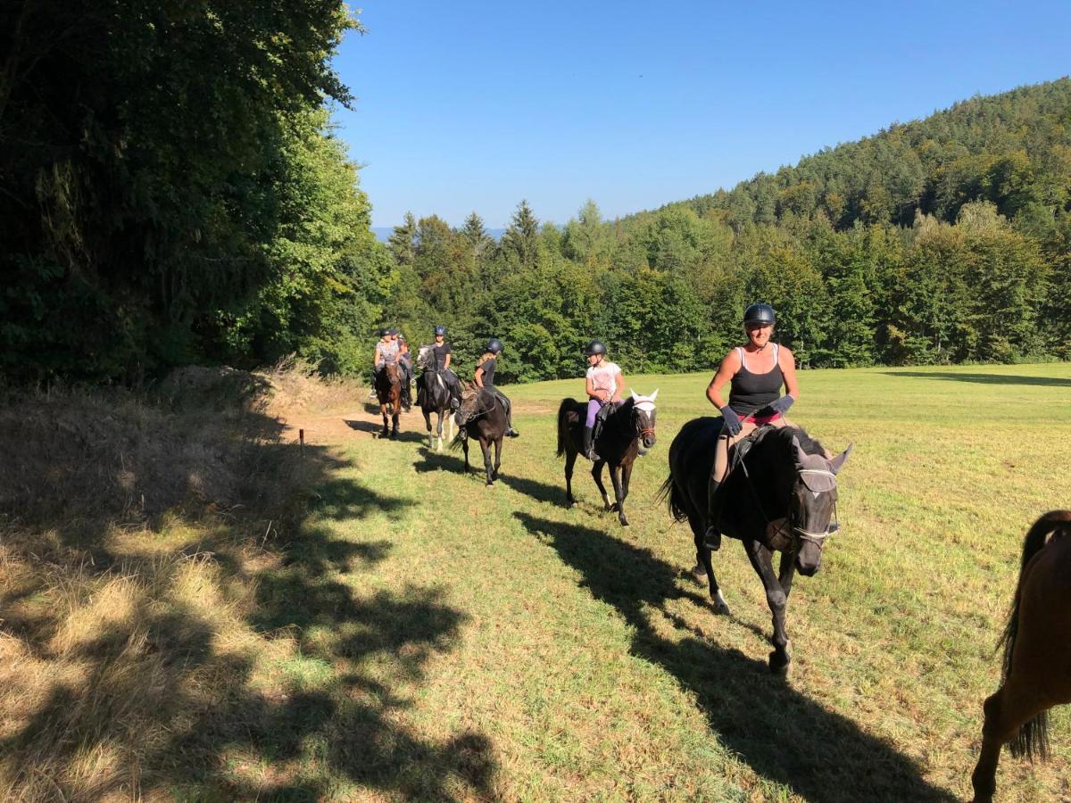 Pension & Reitschule Fuchsenhof Seebarn 외부 사진